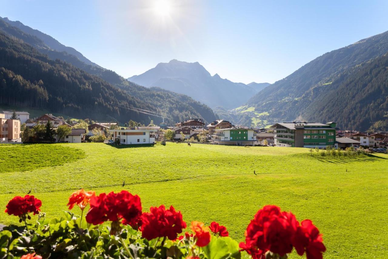 König Mayrhofen